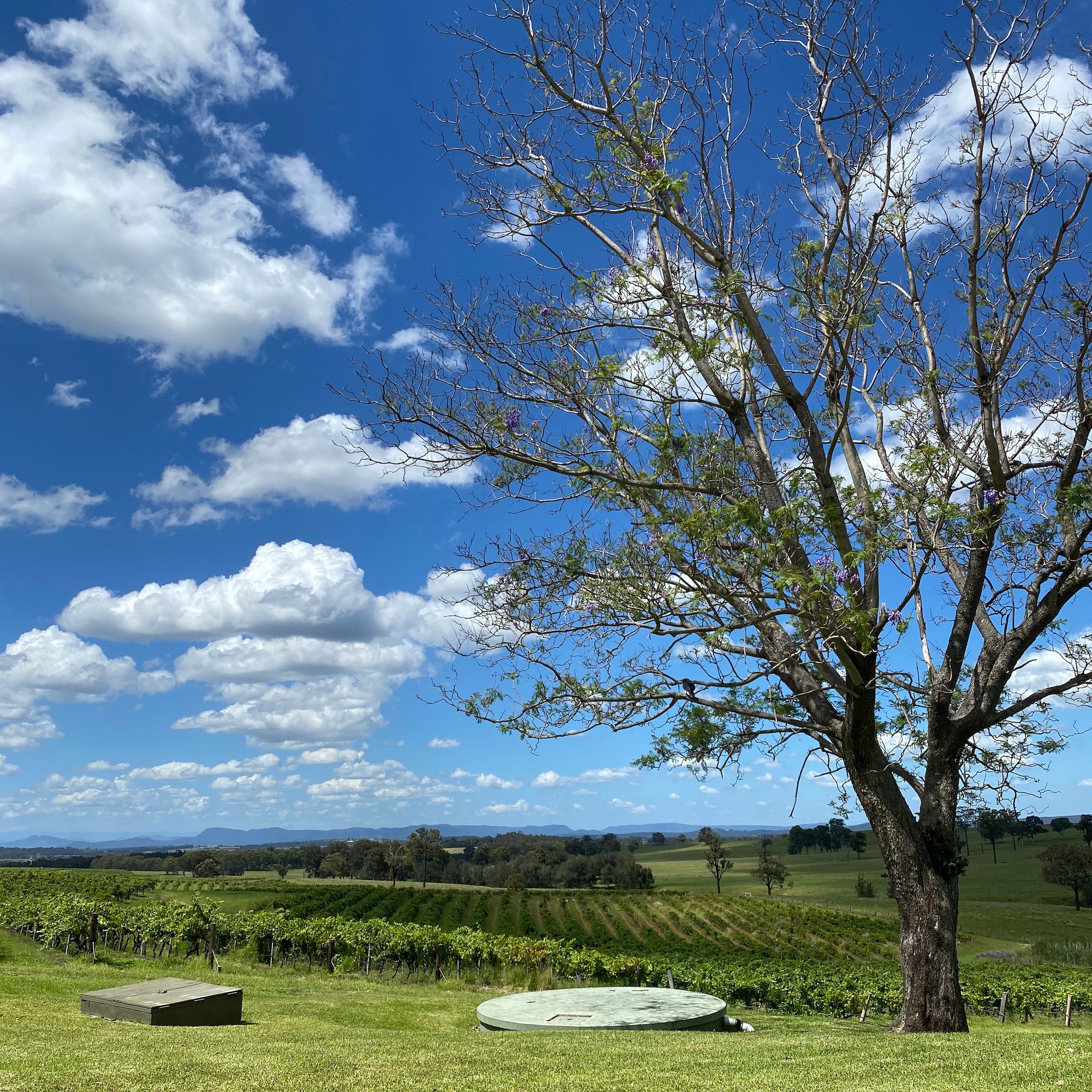 Hunter Valley Retreat