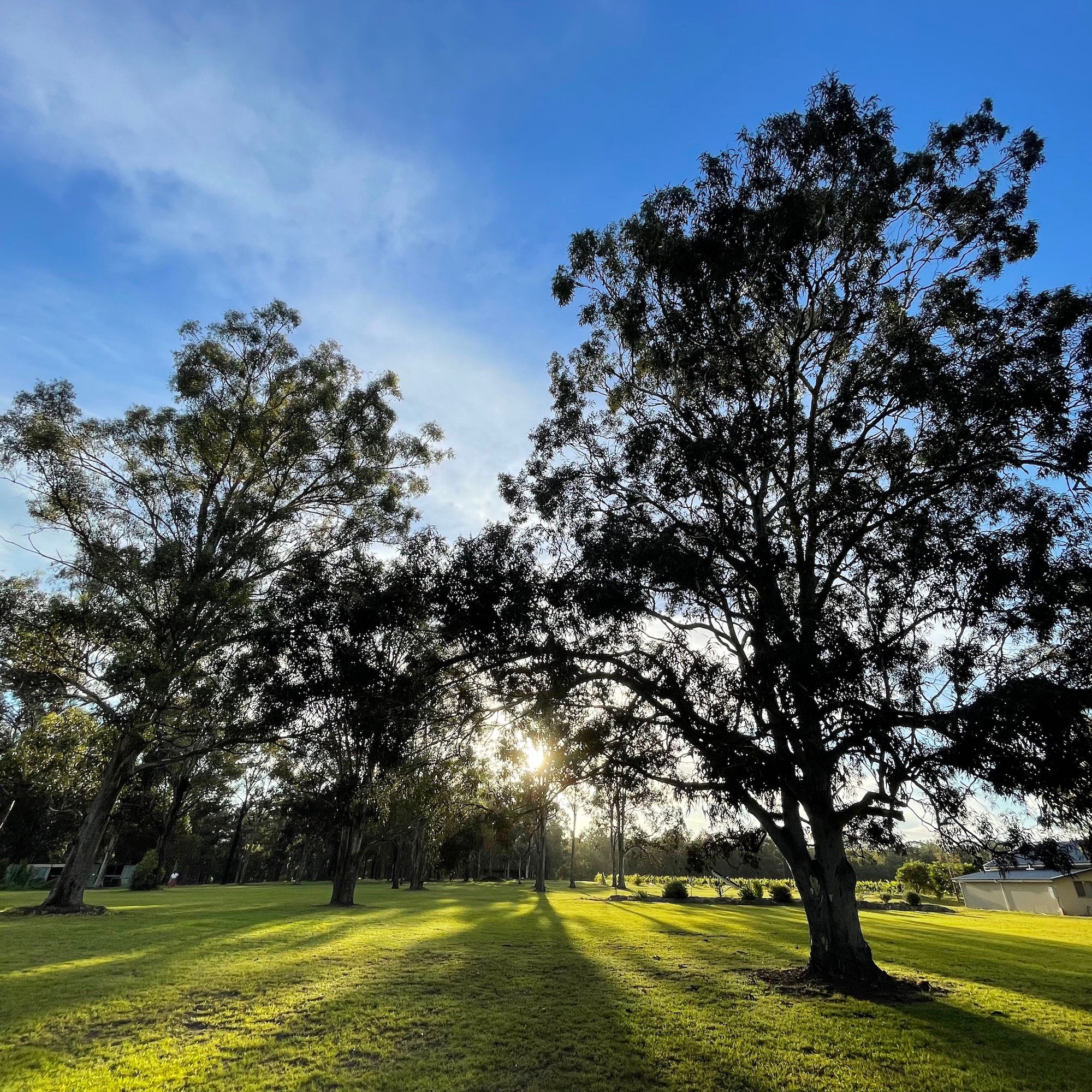 Hunter Valley Retreat