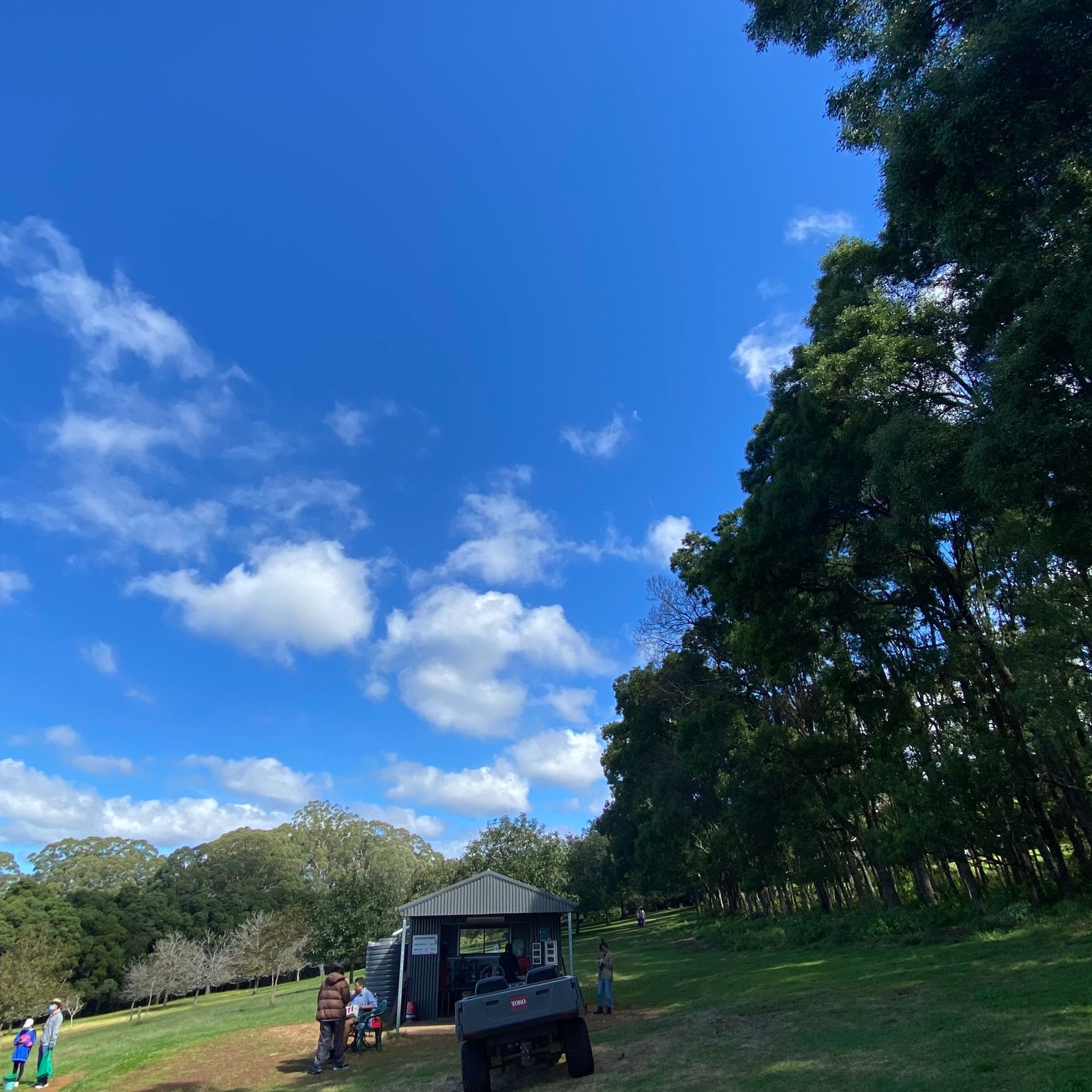 復活節 Road Trip - Kookootonga Chestnut and Walnut Farm