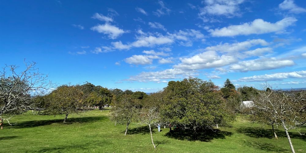 Kookootonga Chestnut and Walnut Farm